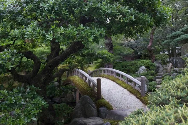Curved stone bridge in a green Japanese garden