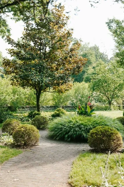 Simple green path through trees and lawn