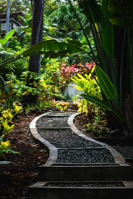 Lush tropical plants and trees