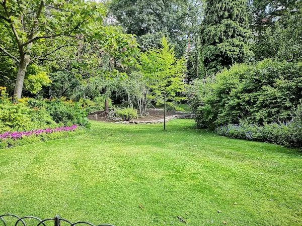 Open backyard lawn with trees